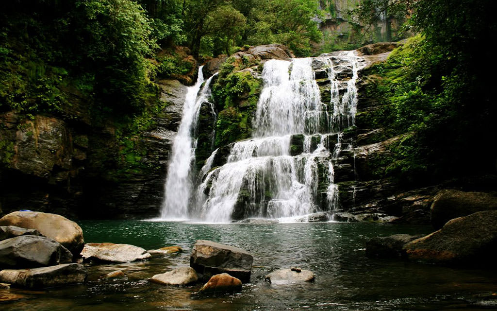 Región Brunca