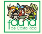 Fauna