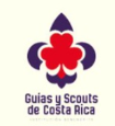 Guías Scouts