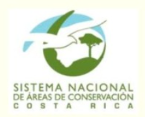 Sistema Nacional