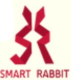 Smart Rabbit