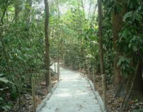 Sendero en el Parque Nacional Carara